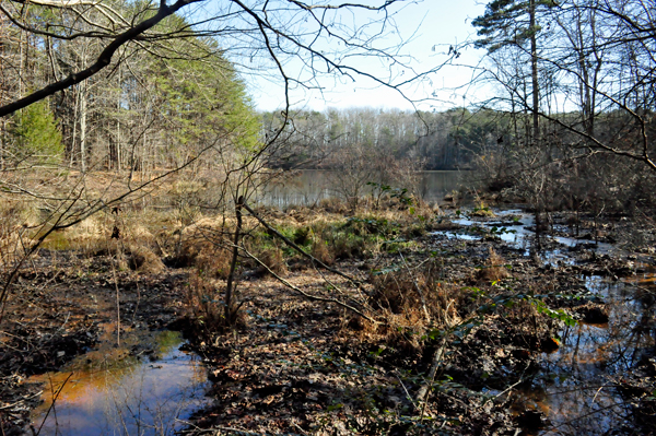 the lake at Crowders Mountain